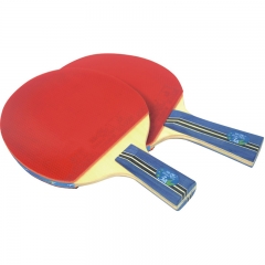 kok平台在线
 Pimples in Ping Pong Racquet
